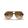 Accessories Raybans | Raybans Cats 5000 Injected Man Sunglasses